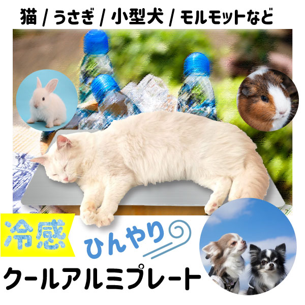 【最安値挑戦中】ひんやりアルミプレート（中） 小動物 用品 ひんやりグッズ クールマット 夏対策 冷たい エアコン 涼感 冷却　はりねずみ モルモット 30cm　20cm　小型 涼感プレート プレート うさぎ ケージ 暑さ対策 ひんやり マット ペット用品 ネコポス無料！