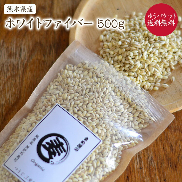 【ゆうパケット　送料無料】 もち麦 ホワイトファイバー 「500g」熊本県産 農薬化学肥料不使用 自然栽培 有機もち麦 JAS認証済 有機認証麦を小袋にしております。