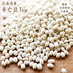 【宅配便】無農薬栽培 手亡豆 1kg 北海道産 令和5年産 てぼ豆 農薬・化学肥料不使用 小粒白いんげん