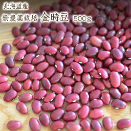 【宅急便】 無農薬金時豆【500g】 北海道産 金時豆 農薬化学肥料不使用 赤いんげんJAS認証を所得した有機金時豆を小袋にしております。小袋のためJAS認証マークはついておりません。