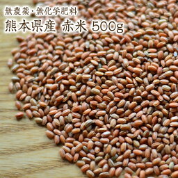 【宅急便】赤米【500g】自然栽培 古代米 夕やけもち 熊本県産 農薬化学肥料不使用 JAS認証有機米を小袋にしております。JAS認証マークは入っておりません