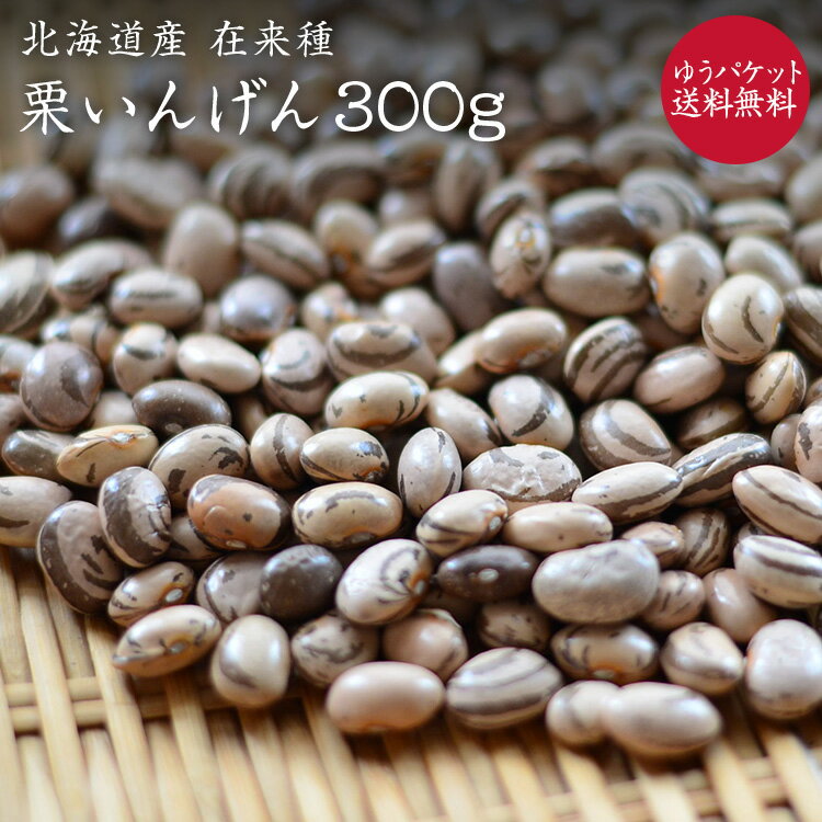 【ゆうパケット 送料無料】栗いんげん豆 300g 北海道産 在来種 農薬化学肥料不使用 国産 希少いんげん豆のサムネイル