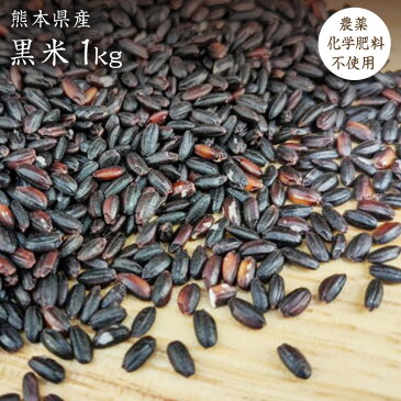 【宅配便】【1kg】黒米 自然栽培 古代米 熊本県産 無農薬無化学肥料 高野さんの黒米 有機 JAS認証