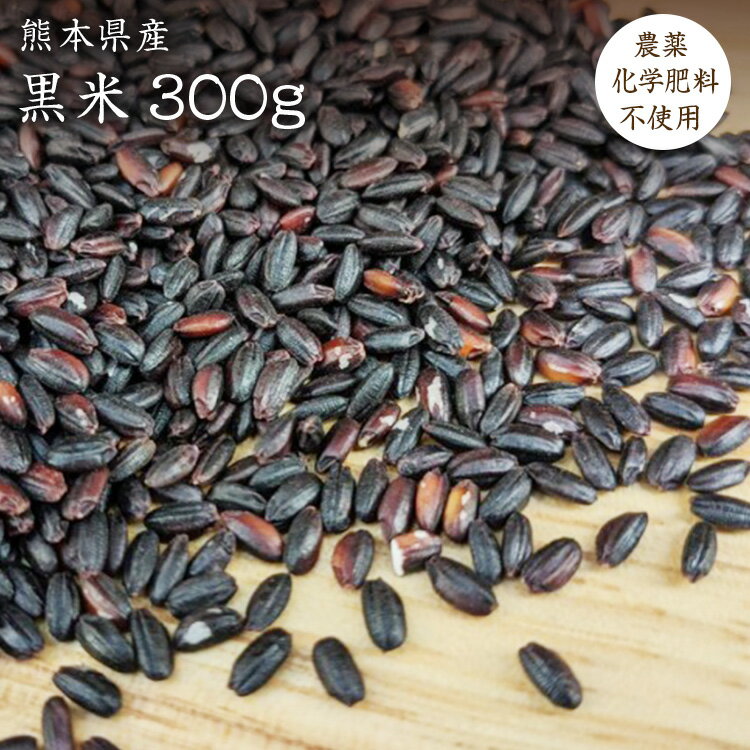 【宅配便】黒米【300g】自然栽培 古代米 熊本県産 農薬化学肥料不使用 JAS認証有機米を小袋にしております。JAS認証…