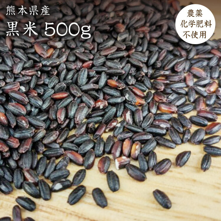 【宅配便】黒米【500g】自然栽培 古代米 熊本県産 農薬化学肥料不使用 JAS認証有機米を小袋にしております。JAS認証…