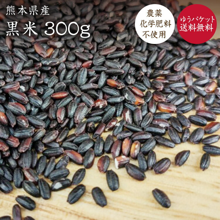 【ゆうパケット送料無料】【300g】黒米 自然栽培 古代米 熊本県産 無農薬無化学肥料 高野さんの黒米 有機 JAS認証