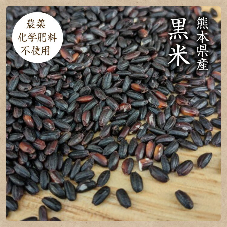 【宅配便】【300g】黒米 自然栽培 古代米 熊本県産 無農薬無化学肥料 高野さんの黒米 有機 JAS認証