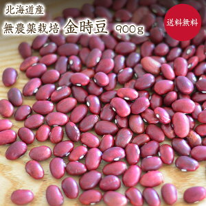 【ゆうパケット　送料無料】 無農薬金時豆【900g】 北海道産 金時豆 農薬化学肥料不使用 赤いんげん有機金時豆を小袋にしております