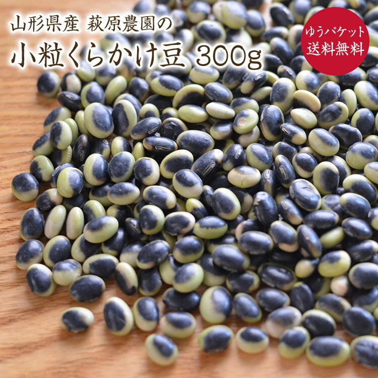 【ゆうパケット 送料無料】くらかけ豆【小粒 300g】山形県産 鞍掛豆 萩原農園の豆 令和5年産猛暑の影響により、傷が多い豆が含まれます。 農家応援！