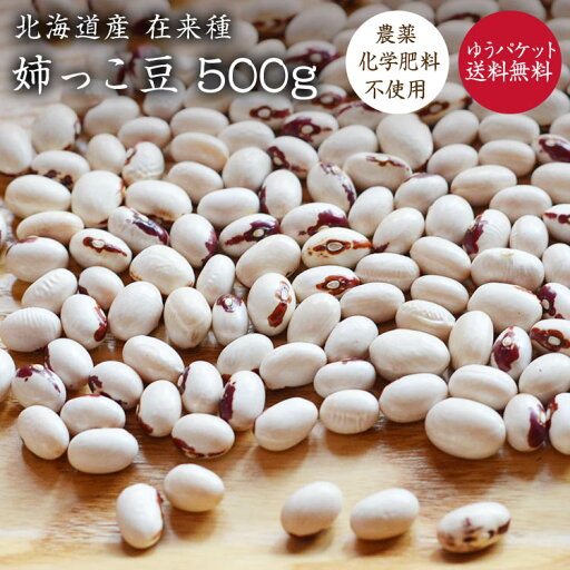 【ゆうパケット 送料無料】姉っこ豆 500g【在来種】北海道産 士幌いんげん 希少在来種 赤目金時豆 【ゆうパケット 送料無料】姉っこ豆 500g【在来種】北海道産 士幌いんげん 希少在来種 赤目金時豆