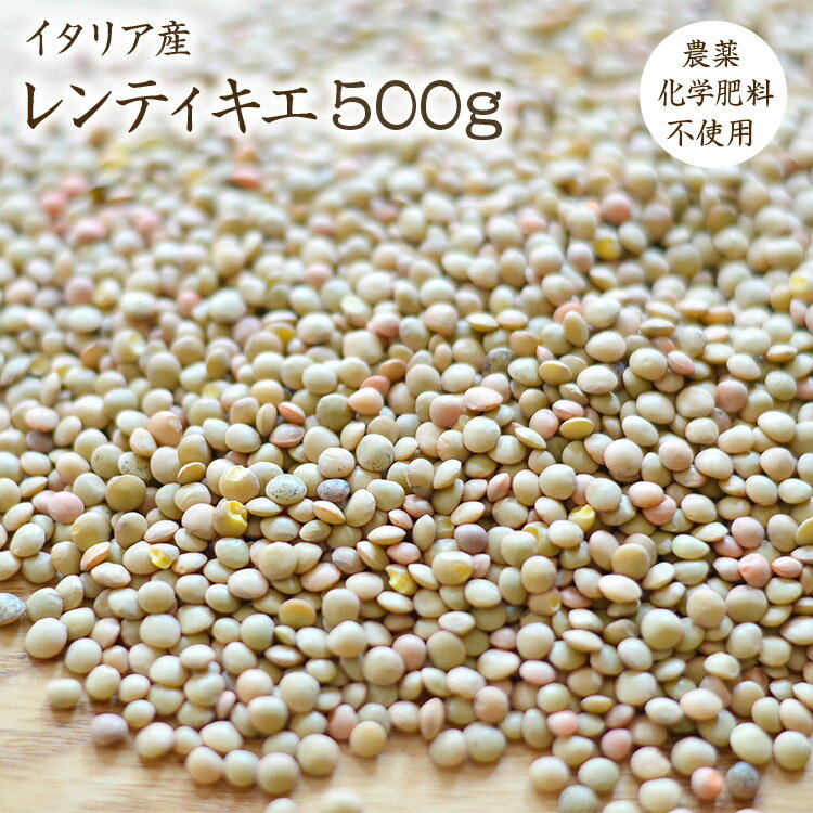 【宅配便】自然栽培 ブラウンレンズ豆 500g イタリア産 レンティキエ 令和4年産 ブラウンレンズ 皮付きレンズ豆 農薬化学肥料不使用