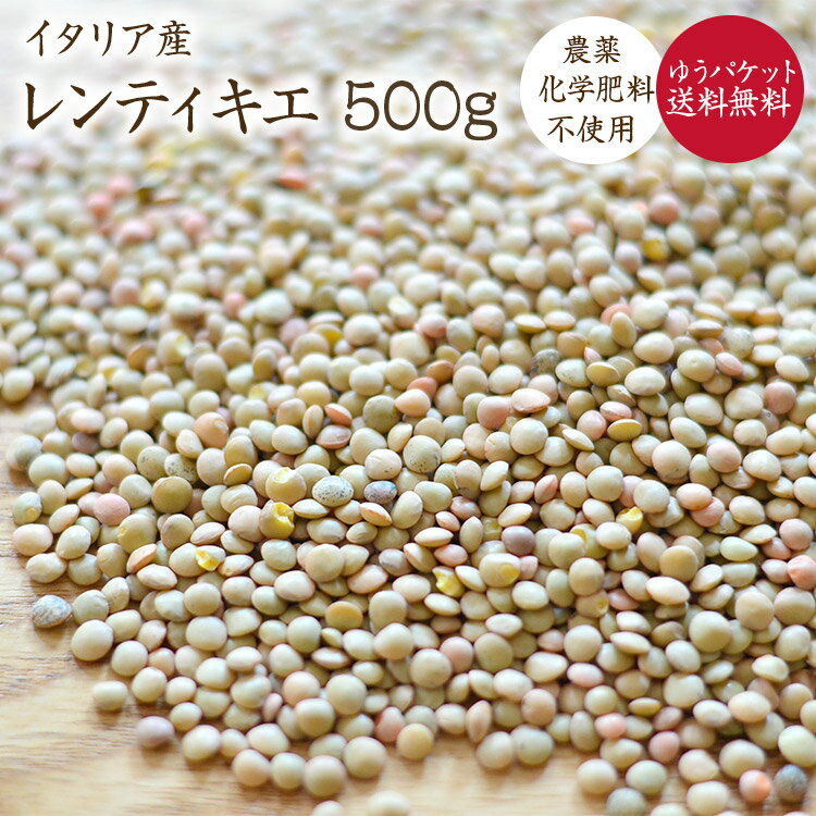 【ゆうパケット 送料無料】自然栽培 ブラウンレンズ豆 500g イタリア産 レンティキエ レンズ豆 皮付きレンズ 農薬化学肥料不使用