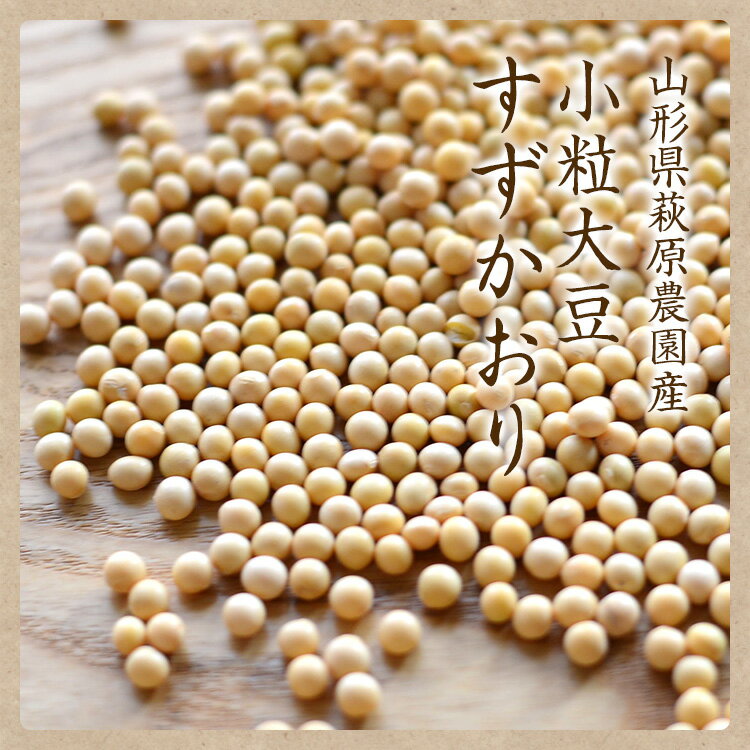 【ゆうパケット 送料無料】小粒大豆 すずかおり...の紹介画像2