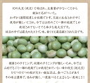 【宅急便】秘伝豆 1kg 山形県産 令和5年産 萩原農園の豆ひたし豆 炊き込みご飯 ポタージュに レシピ付き 3