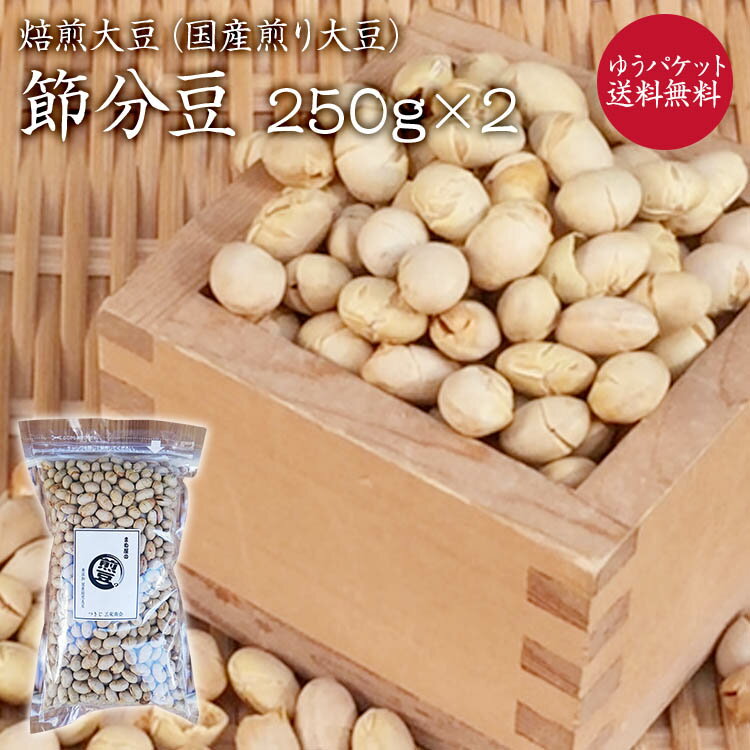 【ゆうパケット送料無料】煎り大豆 250g×2P 焙煎豆 福豆 北海道産大豆100 使用