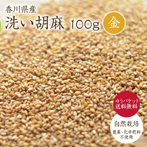 【ゆうパケット 送料無料】洗い胡麻 金ごま 100g 香川県産 自然栽培 金胡麻 国産胡麻 セサミ 胡麻軽く煎ってからお使いください 【ゆうパケット 送料無料】洗い胡麻 金ごま 100g 香川県産 自然栽培 金胡麻 国産胡麻 セサミ 胡麻軽く煎ってからお使いください
