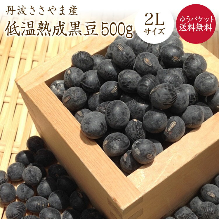 【ゆうパケット送料無料】限定販売 篠山産 丹波黒豆【熟成2L 500g】令和6年産丹波ささやま産 黒 ...
