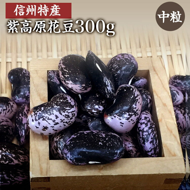 【ゆうパケット 送料無料】高原花豆 「中粒 300g」信州産 紫花豆 令和6年産吉沢農園の花豆 農薬不使用 花豆 煮豆レシピ付き