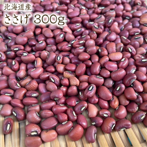【宅急便】 新発売 国産ささげ 北海道産【300g】令和6年産 だるまささげ 赤飯用 赤ささげ 【宅急便】 新発売 国産ささげ 北海道産【300g】令和6年産 だるまささげ 赤飯用 赤ささげ