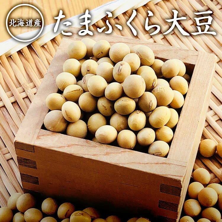 【ゆうパケット 送料無料】【300g】北海道産たまふくら大豆 令和2年産 新豆 茹でるだけでおいしい大豆