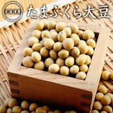 ڤ椦ѥå ̵ۤޤդƦ 500g ޤդ ̳ƻ ˾Ʀ 5ǯ 觤ǤǤƦ ƥӡ֤ʤ椭ƻפǾҲ5ǯԽαƶˤꡢγǤ