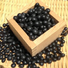 【宅配便】黒豆 「500g」新豆 北海道産黒豆 黒大豆 令和5年産 黒豆の甘煮レシピ付 おせちや煮豆に