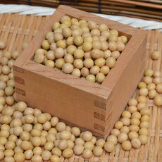 【ゆうパケット 送料無料】900g 鶴の子大豆（中粒）北海道産　お味噌作りに最適