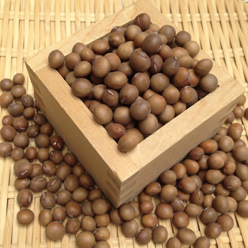 【宅急便】【300g】北海道産 茶豆 (ちゃまめ) 令和5年産 中山農園の豆 大豆 煮豆 お味噌作り サラダ ピクルスに最適