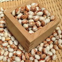 【ゆうパケット 送料無料】虎豆 「300g」北海道産 とら豆 令和6年産 新豆 高級彩豆 食べて美味しい煮豆の大様
