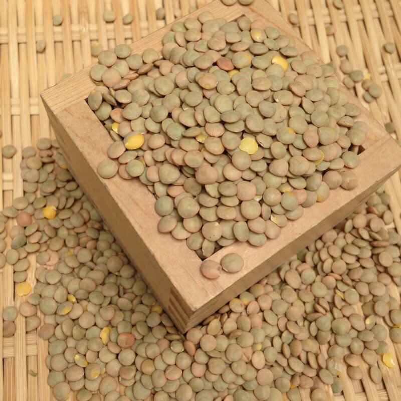 【ゆうパケット 送料無料】【300g】ブラウンレンズ豆(皮つき) 皮付きレンズ 茶レンズ アメリカ産
