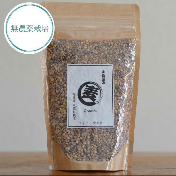 【ゆうパケット 送料無料】もち麦 「玄麦 280g」 ダイシモチ 熊本県産 農薬化学肥料不使用 自然栽培JAS認証を所得した有機もち麦を小袋にしております。小袋にJAS認証マークはついておりません。