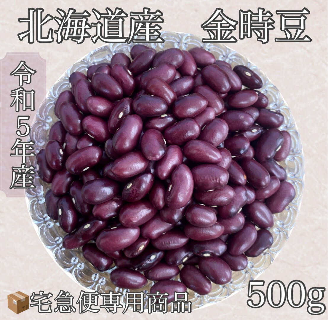 北海道産　金時豆　500g入　令和5年産　【宅急便専用商品　送料別】