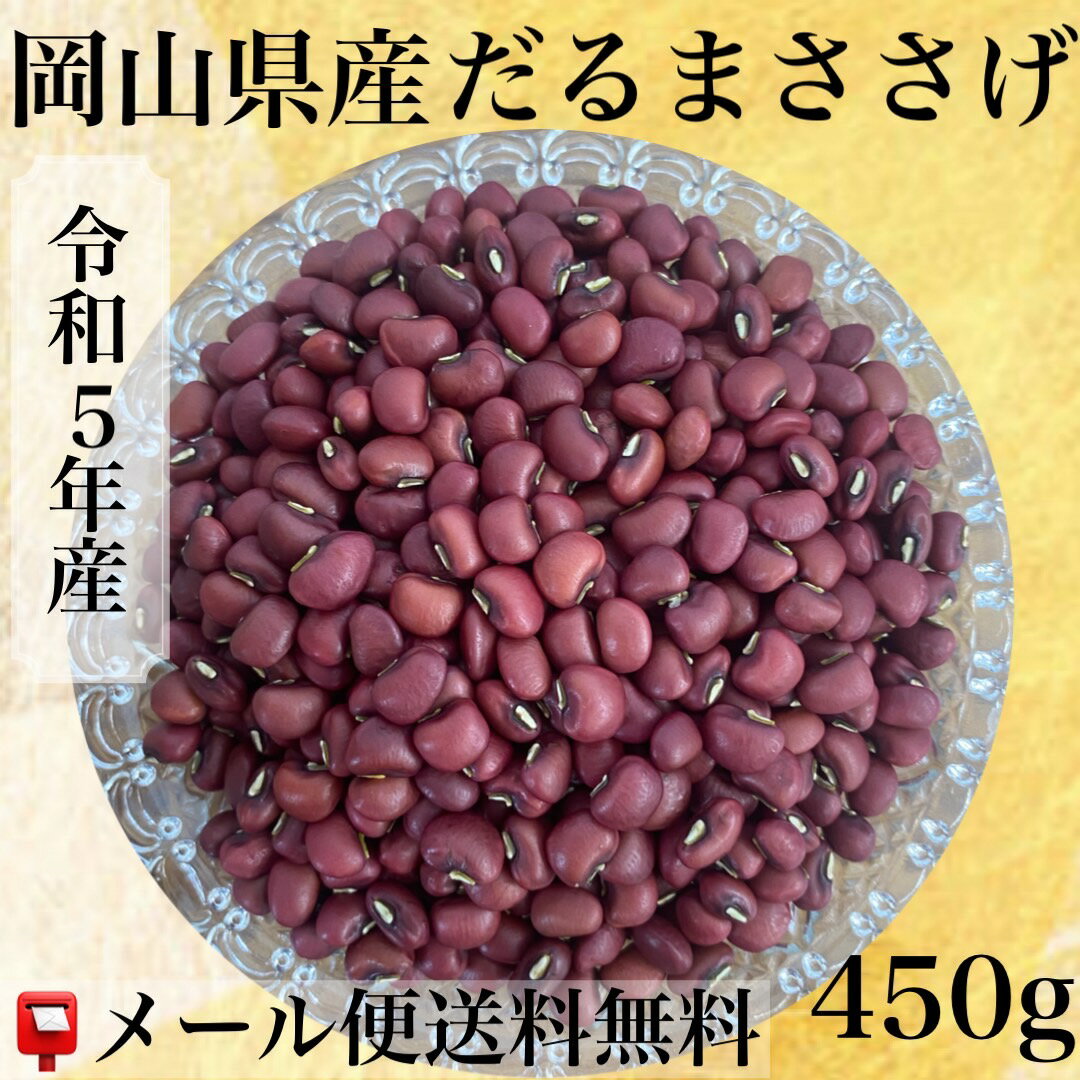 岡山県産　だるまささげ　450g入　令和5年産　【宅急便専用商品　送料別】