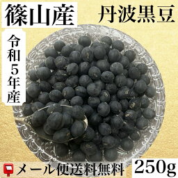 令和5年産　篠山産　丹波黒豆　2Lサイズ　250g入り【送料無料】【メール便】【代引き不可】