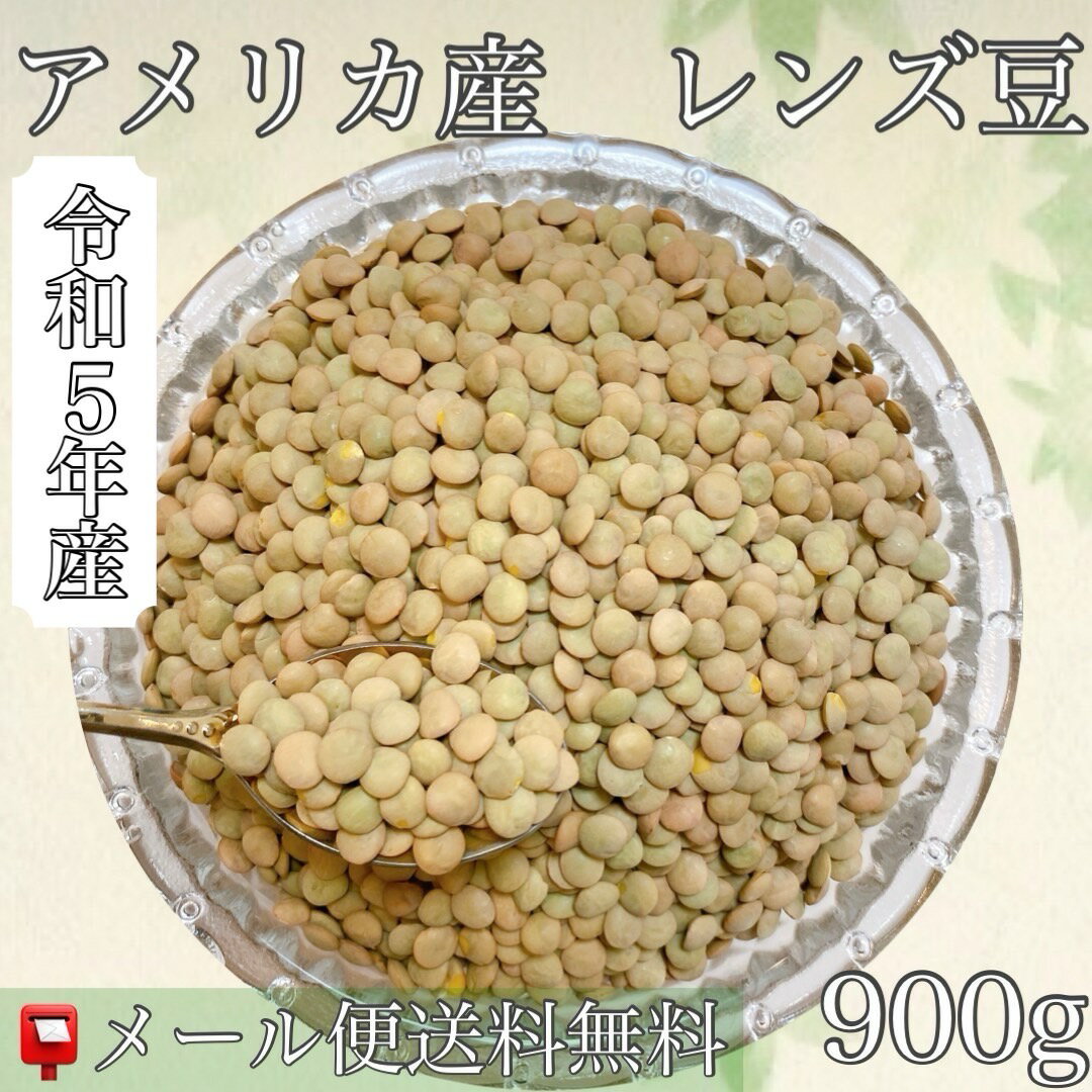 グリーンビーンズ（緑豆）【 340g　OR　1000g】生　健康のための緑豆　タンパク質含有量高　健康な心臓