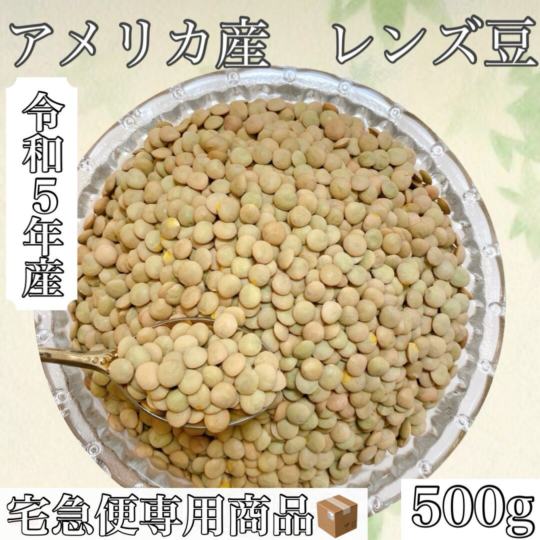 令和5年産　アメリカ産　レンズ豆　500g入　