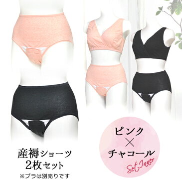 ★0のつく日限定 10%OFFクーポン配布★ 産褥ショーツ 2枚セット クロッチ開閉タイプ 洗い替え 入院準備 出産準備 産じょくショーツ サニタリーショーツ 大きいサイズ