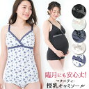 楽天市場人気商品
