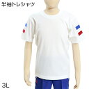 ギャレックス あわら市立細呂木小学校 体操服 半袖トレシャツ (3L)(Galax)ソーワ