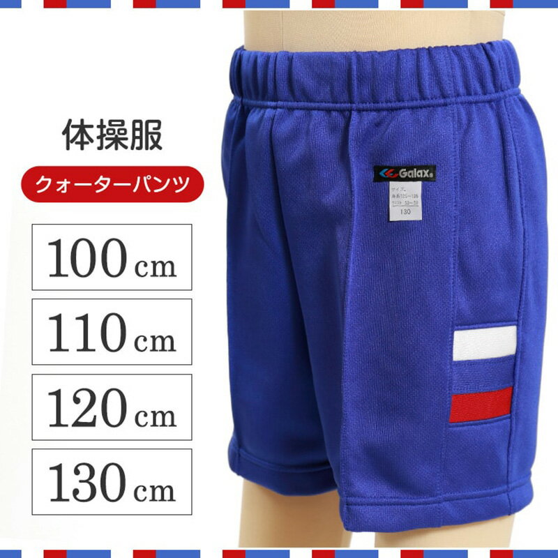 ギャレックス 体操服 クォーターパンツ 100cm〜130cm 男子 女子 ジャージ 青 ワンポイント 半ズボン 女の子 男の子 子供 キッズ 運動着 体育 Galax【取寄せ】 2