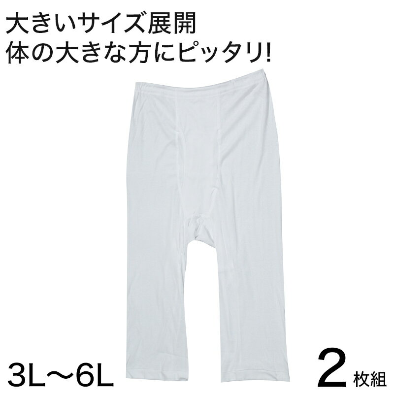 ステテコ メンズ 綿100％ ズボン下 大きいサイズ 2枚組 3L～6L 7分 股引 前あき ロングパンツ コットン 半ズボン下 3l 4l 5l 6l 