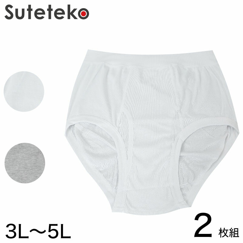 ブリーフ パンツ 綿100％ 大きいサイズ 2枚組 3L～5L 前あき メンズ 下着 コットン ゆったり 白 グレー 3l 4l 5l 