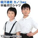 キッズ ポロシャツ 半袖 小学生 制服 小学校 スクール 子供 100cm~170cm 男の子 女の子 スクールシャツ 男子 女子 白 無地 学校 鹿の子 カノコ