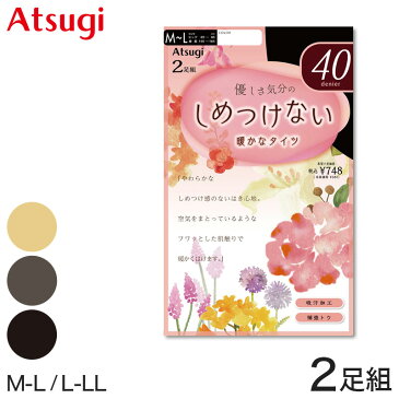 ベージュ タイツ 40デニール アツギ 2足組 M-L・L-LL (グレー ストッキング 黒 肌色 パンティストッキング パンスト 発熱タイツ プレーンタイツ シアータイツ レッグウェア 暖かい カラータイツ セット 無地 シンプル)