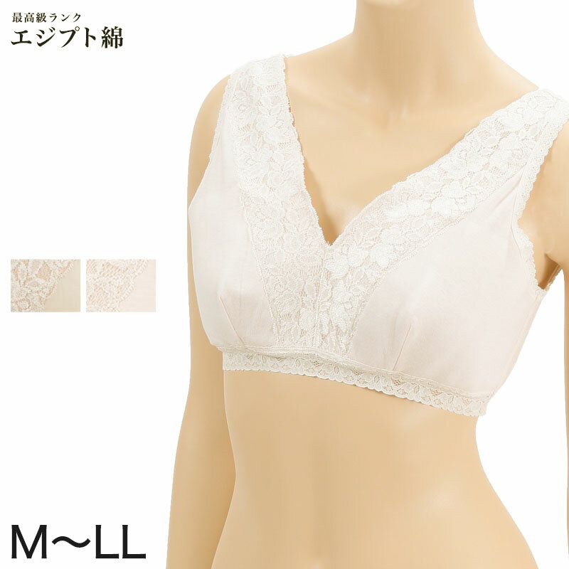 エジプト綿 広幅レースハーフトップ M～LL (ノンワイヤーブラジャー ブラジャー ブラ 綿100% 肌着 下着 レース) (婦人肌着)【取寄せ】