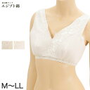 エジプト綿 広幅レースハーフトップ M～LL (ノンワイヤーブラジャー ブラジャー ブラ 綿100% 肌着 下着 レース) (婦人肌着)【取寄せ】