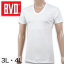 BVD メンズ 半袖シャツ Uネック 綿100% 3L・4L (インナー 下着 男性 紳士 白 ホワイト コットン 大きいサイズ)