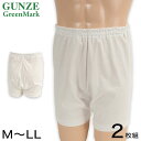 グンゼ 綿 肌着 メンズ 申又 2枚組 M~LL (綿100% 猿股 さるまた インナー パンツ 下着 白 無地 男性)