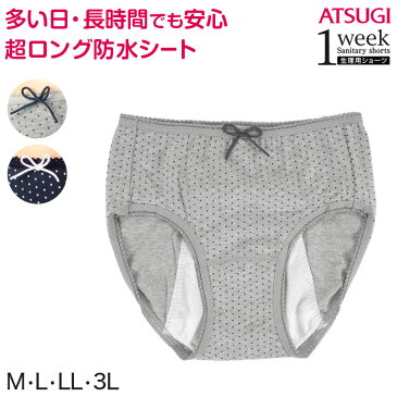 サニタリーショーツ 大きいサイズ 生理用 ショーツ M〜3L (サニタリー 生理用ショーツ夜用 ナイト アツギ 羽つき 多い日 ウイング インナー 肌着 下着 婦人肌着 パンツ)