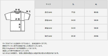 ヘインズ シャツ 部活魂 メンズ クルーネックTシャツ 2枚組 3L〜5L (Hanes BUKATSU DAMASHII 吸汗速乾 軽さらメッシュ 軽量ドライ 通気性 ハードスポーツ 大きいサイズあり 大きめ 3L 4L 5L)